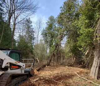 affordable lot clearing southern pines nc